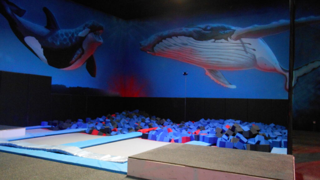 foam pit 2